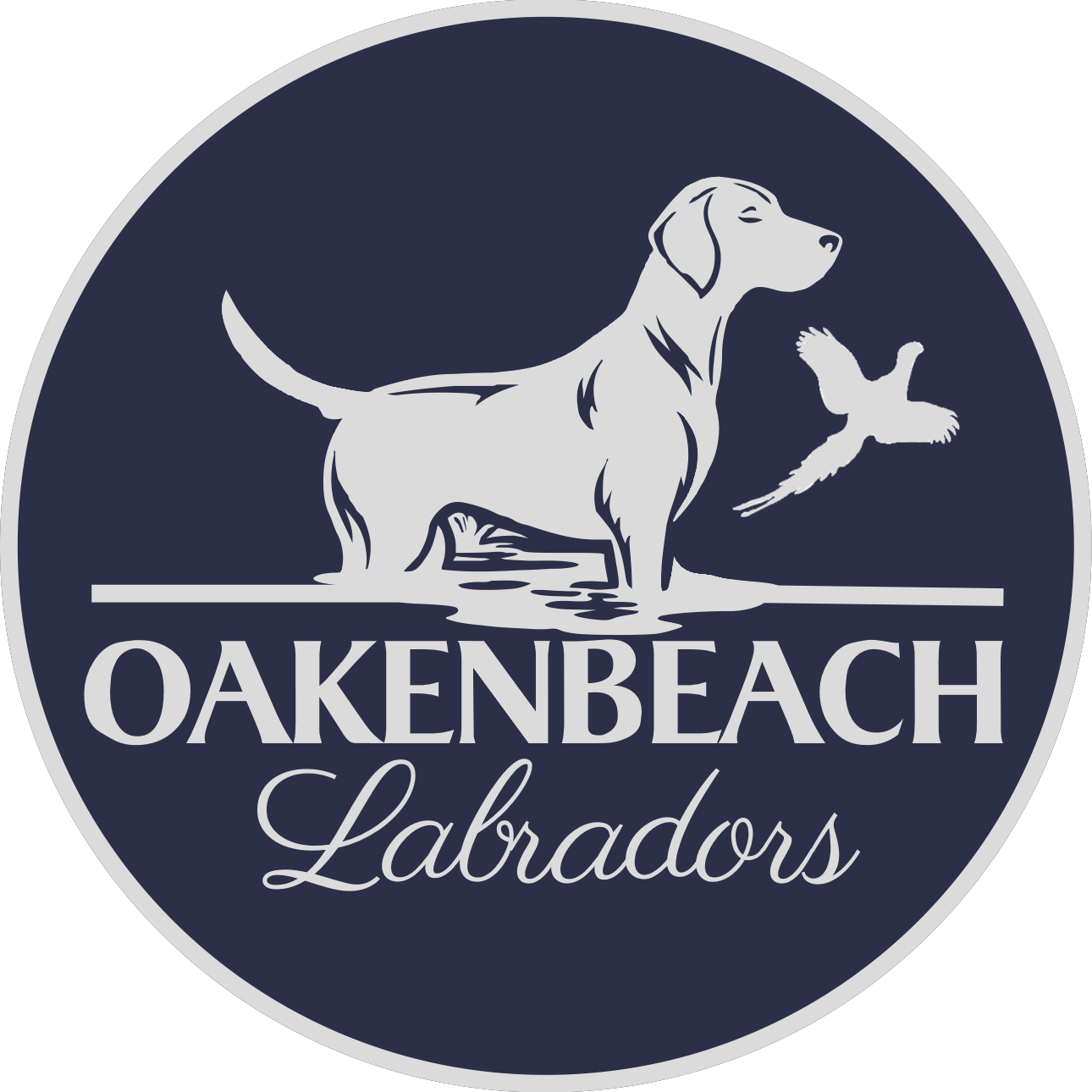 Oakenbeach Labradors New Forest dog breeder, gun dogs, gun dog training Hampshire Dorset